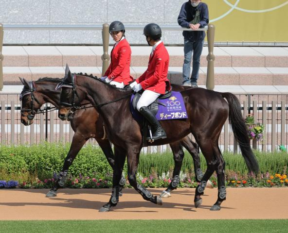 ディープボンドが京都1Rで誘導馬デビュー　「プボくん」が天皇賞・春ウィークに第二の馬生スタート