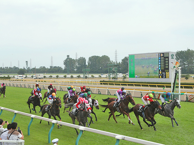 【わらび賞結果】11番人気バギーウィップが4馬身差で圧勝