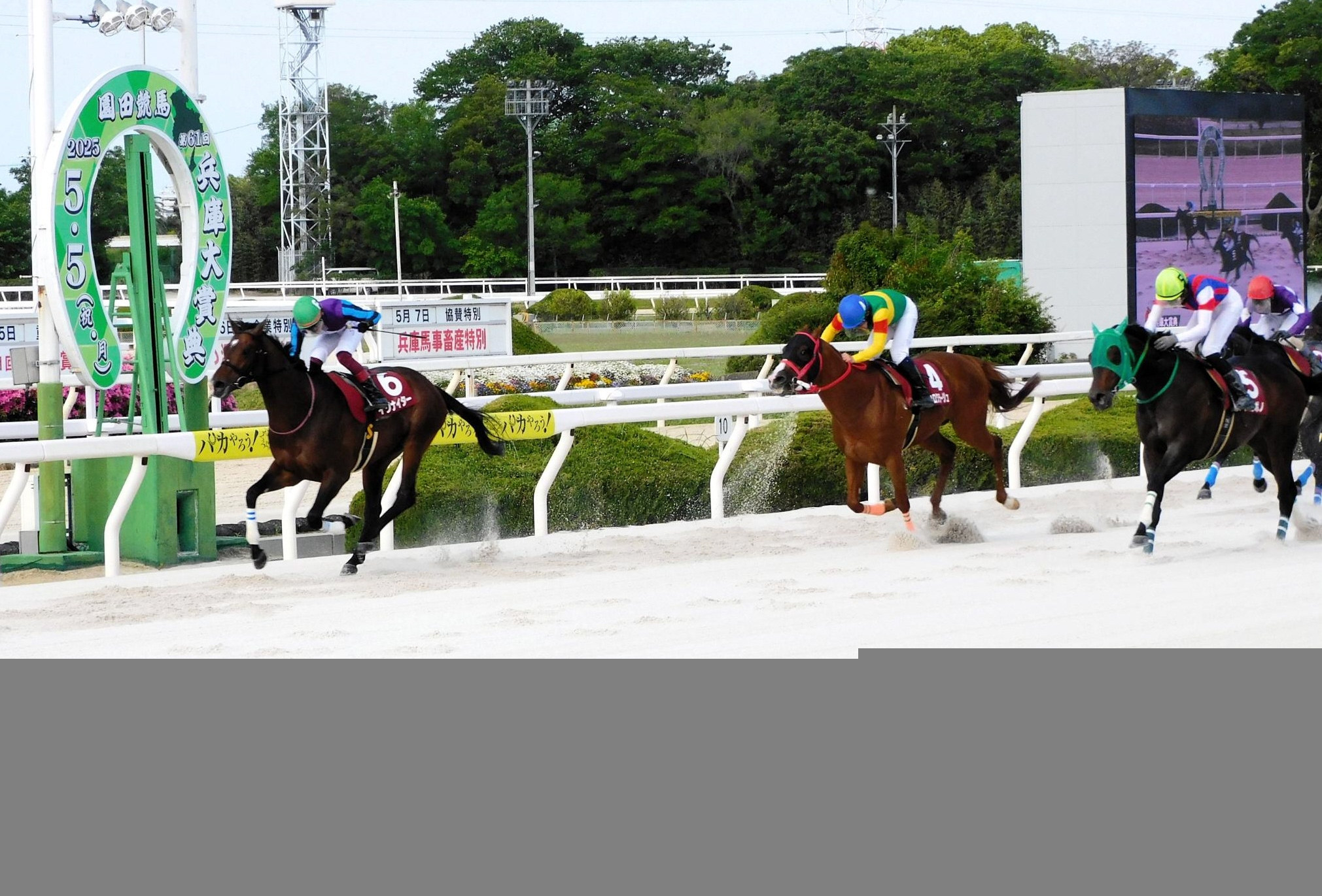 【地方競馬】イグナイターが兵庫大賞典制覇も陣営は意気消沈…好調時の勢い見られず
