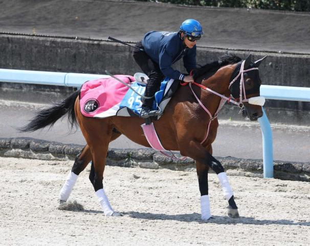 【かしわ記念】シャマルが連覇!　川須ガッツポーズ「負けてたまるかという気持ち」　コスタノヴァは3着