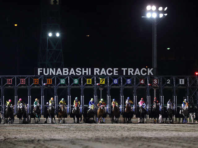 【船橋・かしわ記念結果】シャマルが連覇達成！昨年に続き黒船賞から連勝