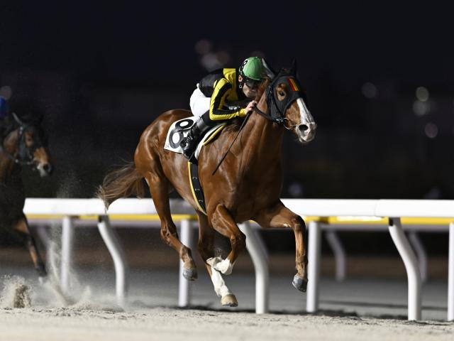【船橋・東京湾C枠順】4連勝中のジュンハーベストは8枠8番