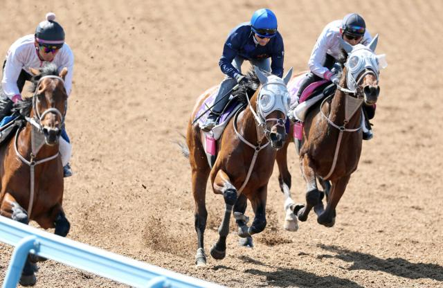 【NHKマイルC】イミグラントソングは新コンビのルメールが騎乗して好感触「G1レベルでもチャンスがある」