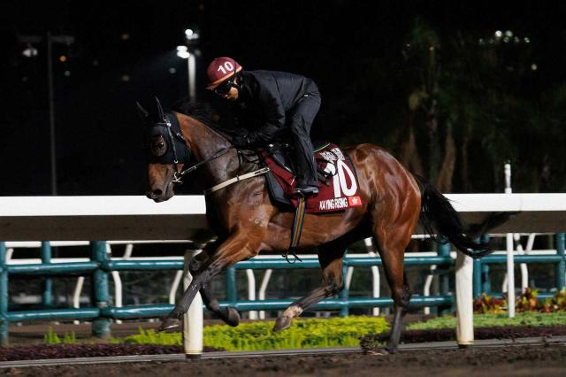 香港CSP覇者カーインライジングが世界ランク2位浮上　KYダービー馬ソヴリンティは8位　中間発表
