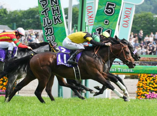 【NHKマイルC】大波乱だ!パンジャタワーV!9→3→12番人気で3連単150万5950円