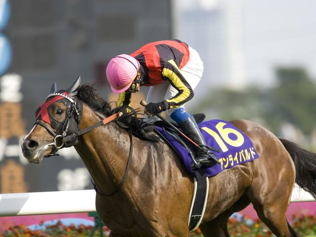 2009年の皐月賞馬アンライバルドが死亡 19歳
