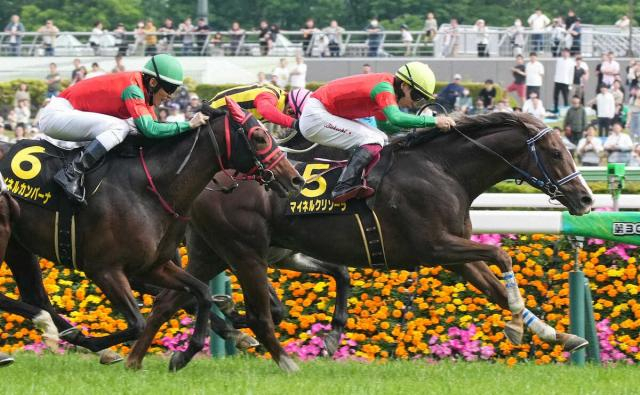 【メトロポリタンS】マイネルクリソーラV　隙間突いて伸びた!横山武は絶賛「言うことない」