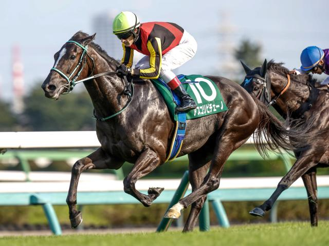 【ヴィクトリアM予想オッズ】アスコリピチェーノが予想1番人気