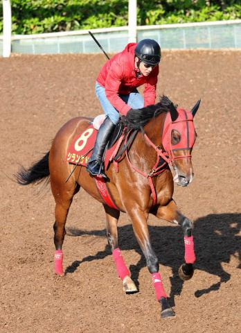 【ヴィクトリアM】シランケド末脚全開だ!初東京&G1でも期待大