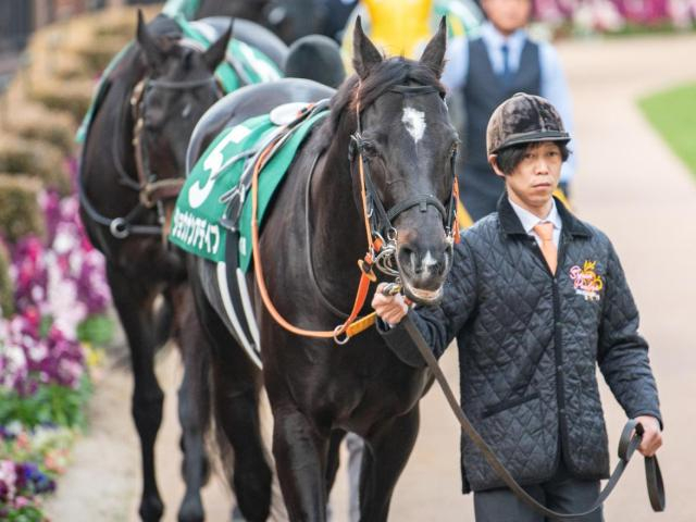 【新潟大賞典】セレクト5.1億円のショウナンアデイブ 史上最高額のJRA重賞勝ち馬となるか