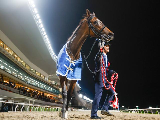【川崎・エンプレス杯注目馬】無傷8連勝中のオーサムリザルトなどが参戦 春のダート女王決定戦