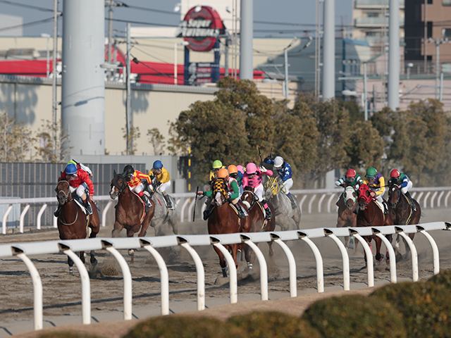【川崎・エンプレス杯結果】テンカジョウが重賞3勝目を挙げる 2着オーサムリザルトは初黒星