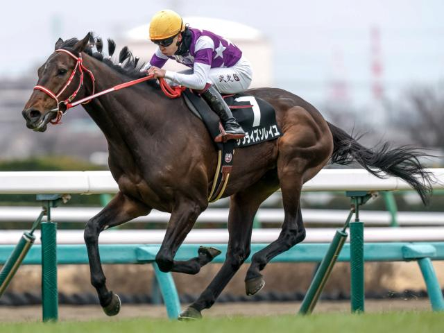 【有力馬動向】「ひと皮むけた感じ」サンライズソレイユは目黒記念でも期待大/馬三郎のつぶやき