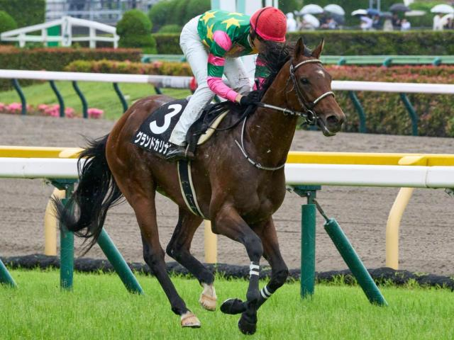 新潟大賞典は道悪必至 グランドカリナンの一発があるぞ