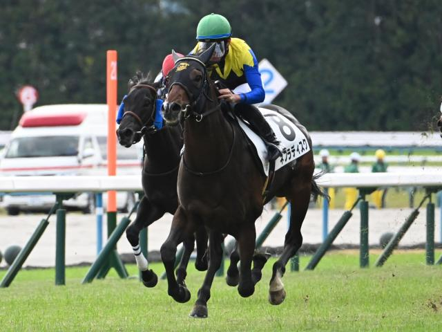 【POG】福永勢動向 ネブラディスク放牧、アスクセクシーモアは古馬初挑戦/馬三郎のつぶやき