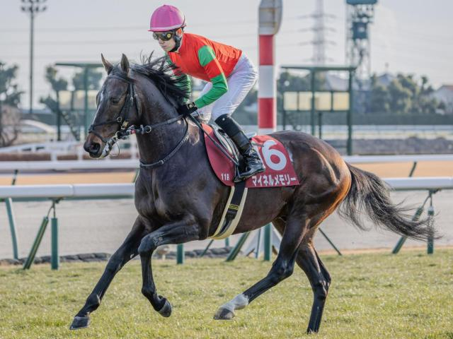 新潟芝はイン悪化が顕著 新潟大賞典は道悪巧者のマイネルメモリーで勝負だ