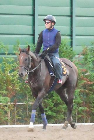 【新潟大賞典】8番人気シリウスコルト快勝　田中勝春師は重賞初挑戦初勝利の偉業達成