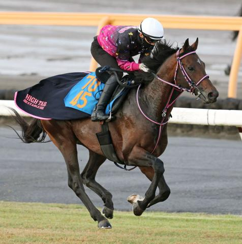 【新潟大賞典】シリウスコルトが連勝で重賞初V　古川吉洋騎手「勝春さんがしっかり調教をやってくれているおかげ」