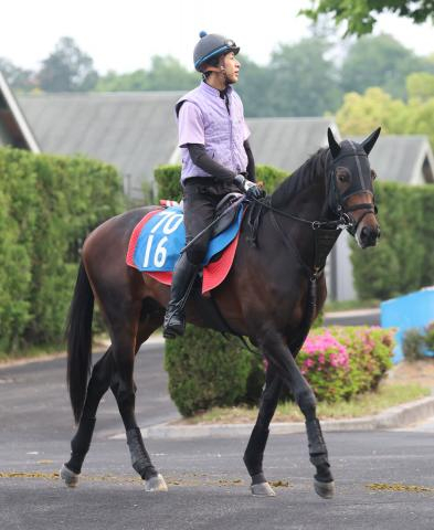 【新潟大賞典】サブマリーナは外から追い込んで2着　春の新潟初参戦の武豊騎手「若手にもまれました」