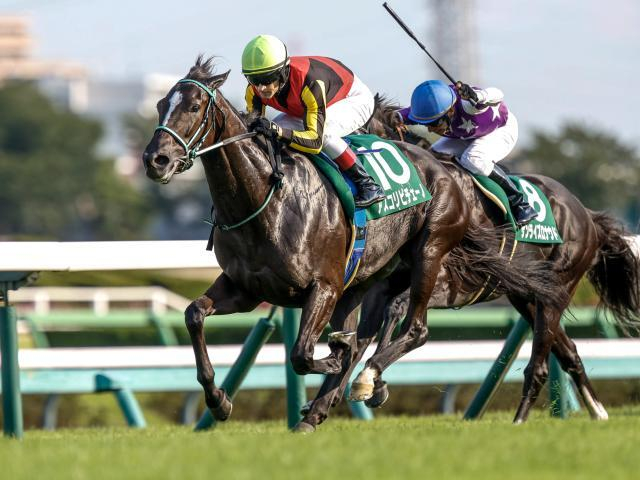 【ヴィクトリアM・馬体重】アスコリピチェーノは476kg、ボンドガールは456kg(+8)