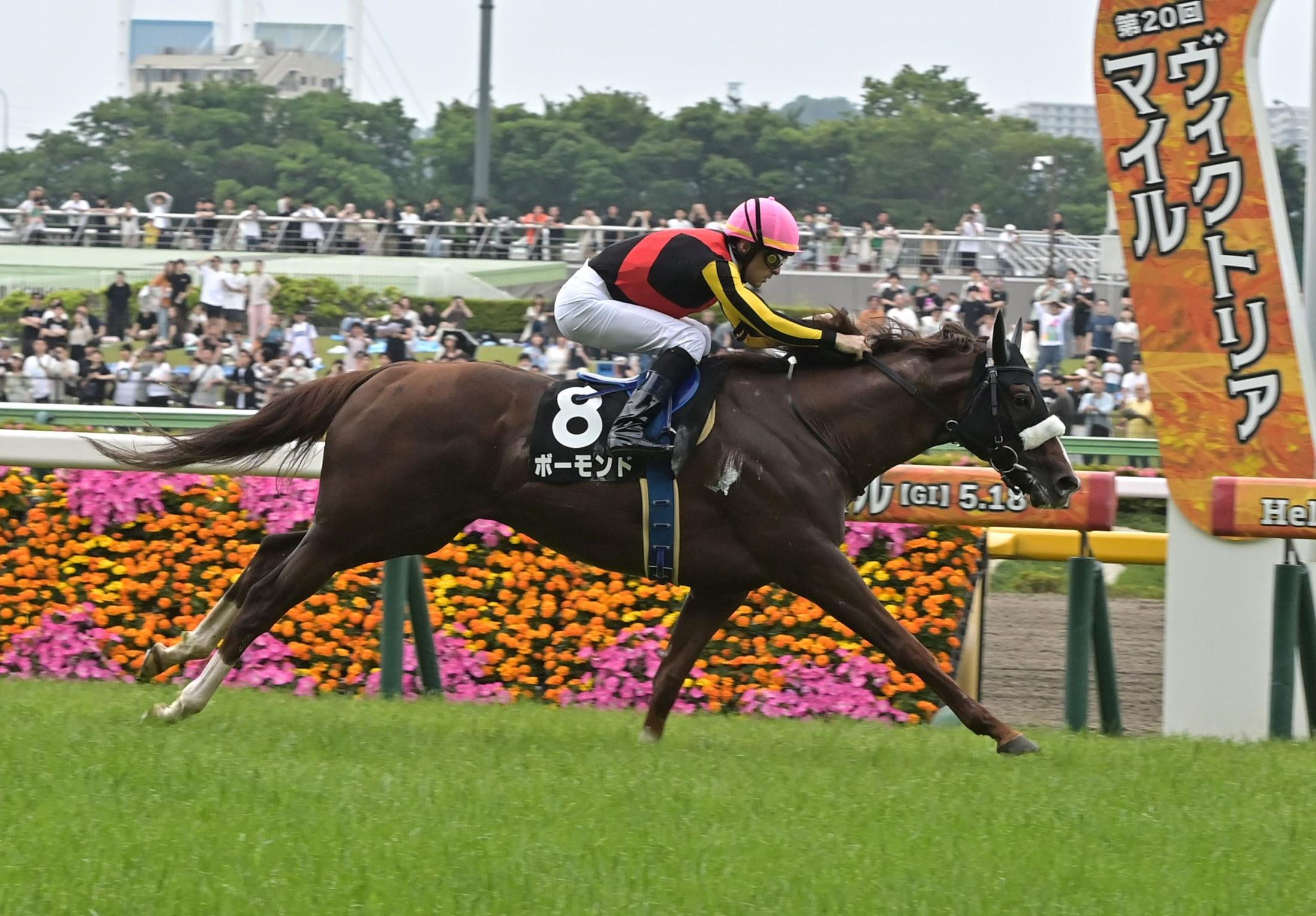 東京９Ｒで６３年ぶりの珍事！サンデーレーシング所有馬が１〜４着を独占