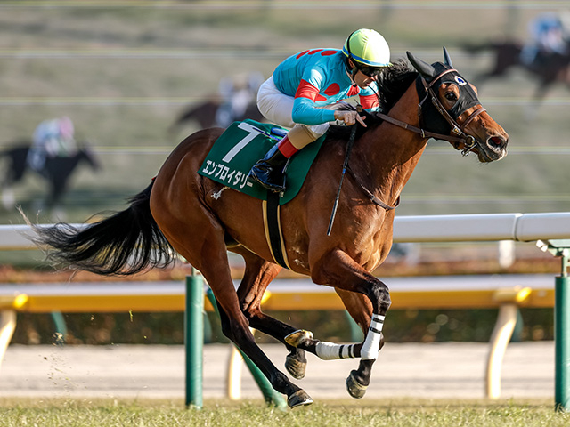 牝馬クラシック二冠目・オークスと平安S/今週の競馬界の見どころ