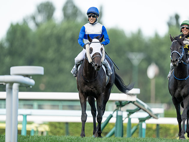 【平安S想定騎手】ロードクロンヌは藤岡佑介騎手、ブライアンセンスは岩田望来騎手