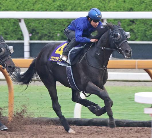 【日本ダービー】クロワデュノールがCWコースで豪快　日曜追いに斉藤崇調教師「本当にいい感じで来られている」