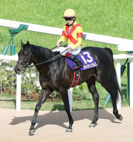 【古馬・注目馬動向】天皇賞・春6着のジャスティンパレスは宝塚記念でG1・2勝目狙う