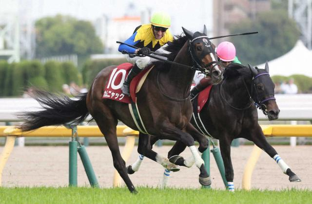 【オークス】カムニャックG1初制覇!壮絶叩き合い制した「素晴らしい馬」シュタルケJRA・G1初勝利