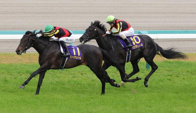 【日本ダービー】4頭出しのサンデーR　吉田俊介代表の手応えは?