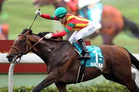 モーリスという種牡馬