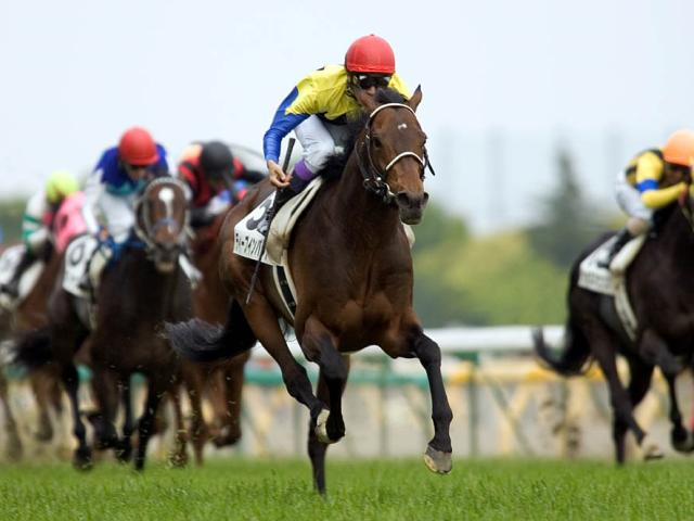 東西どちらかが上位独占？万博開催年×日本ダービーの共通項とは