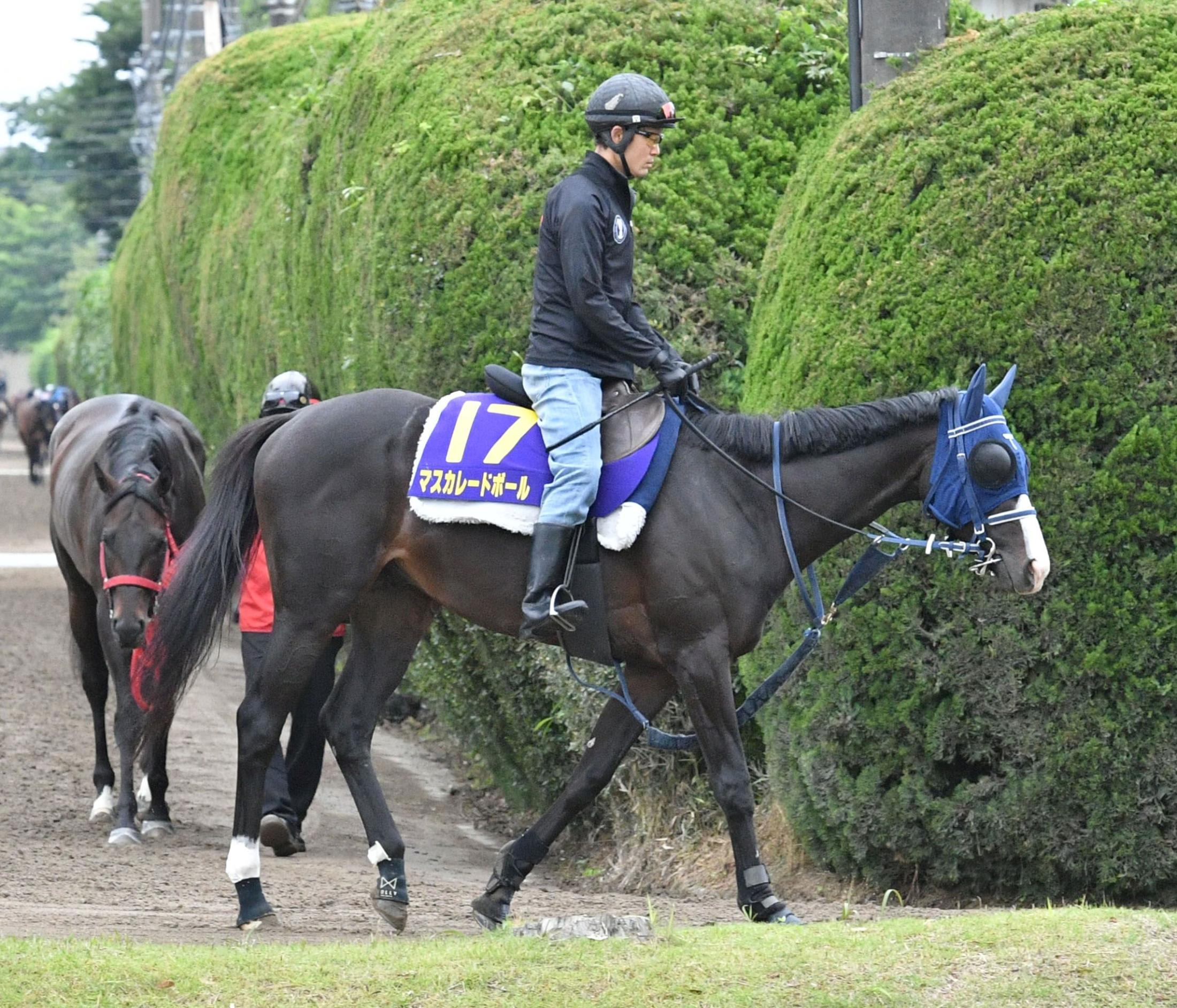 【日本ダービー】マスカレードボール　雨予報も大丈夫　手塚久師「馬体も４６０キロ台だし、雰囲気はいい」