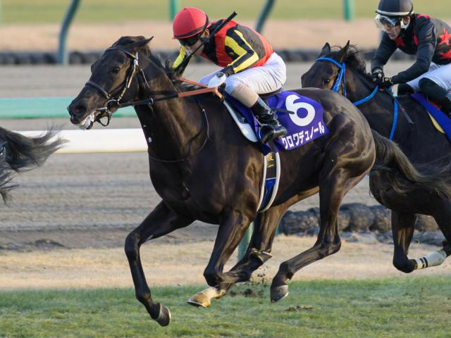 キタサンブラックも達成できず サクラバクシンオーの血が入った馬が日本ダービー勝利なら史上初