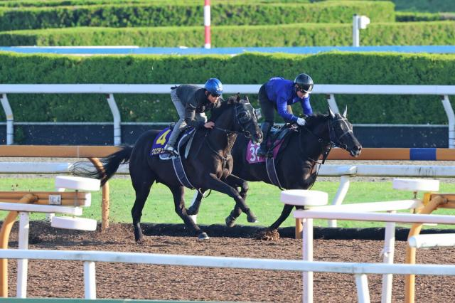 【日本ダービー】クロワデュノールはCWコースで絶品の11秒2　斉藤崇調教師「一段、二段と上がっている感じ」