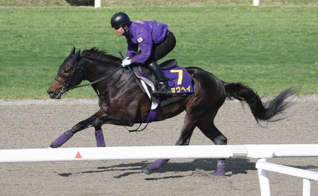 【日本ダービー】ショウヘイ　ポリトラック軽快1F11秒4　友道師「期待の方が大きい」