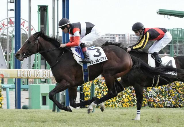 【目黒記念】良血スティンガーグラス重賞初Vへ好気配