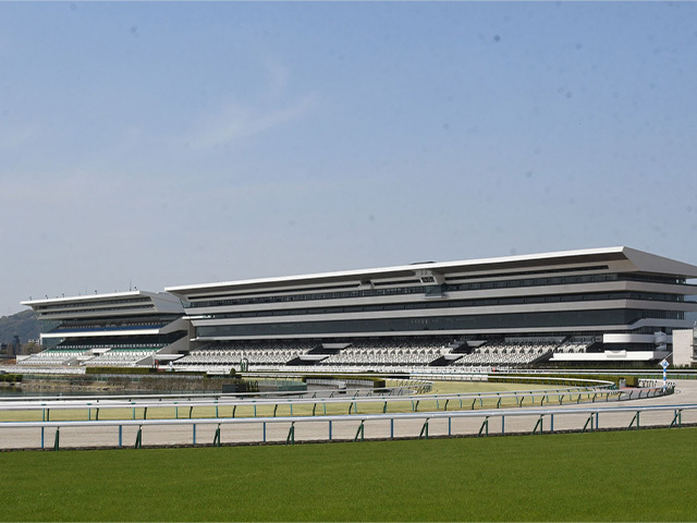 【葵S出走馬・騎手確定】ムイ＆今村聖奈騎手、ウイントワイライト＆A.シュタルケ騎手など16頭