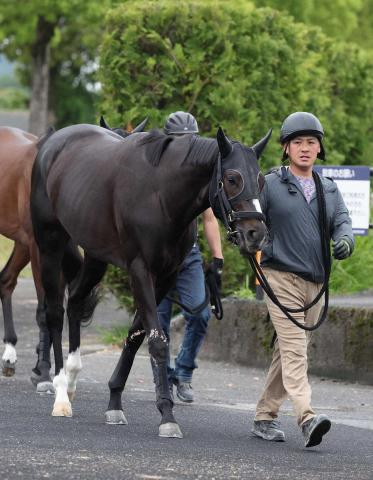 【日本ダービー】(1)リラエンブレム　縁起のいい馬番　浜中「1コーナーの入りを大事に」