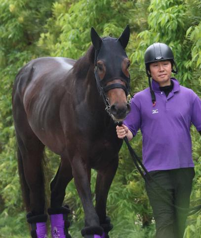 【日本ダービー】ショウヘイ一発!幸運の白帽GET　名門・友道厩舎ダービー4勝目へ