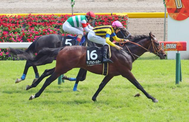 【日本ダービー】東京競馬場の芝コースは8R終了後「稍重」→「良」に変更