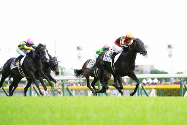 【日本ダービー】ミュージアムマイル2冠ならず…6着に高柳大師「残念な結果…距離が長かったのかな」