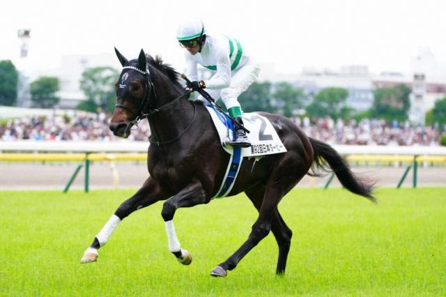 【日本ダービー】ショウヘイ3着　ルメール「バランスが良くなかったが3着まで頑張た。秋以降が楽しみ」