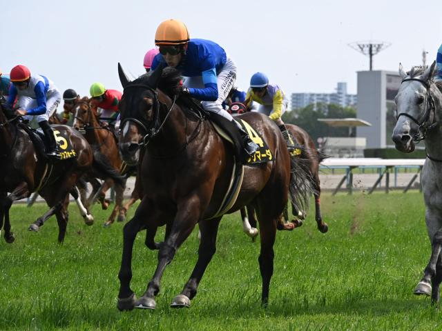 【JRA・WIN5】ダービーデーのWIN5は的中848票、配当67万5690円