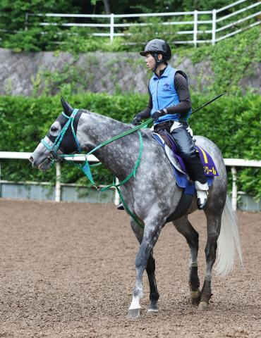 【安田記念・戸田の特注馬】マッドクールがデビュー戦以来、約3年5か月ぶりのマイル投入で激変