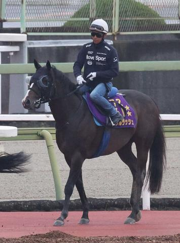 【安田記念】ソウルラッシュ　磨きかかる末脚「しっかり仕上がってきた印象」