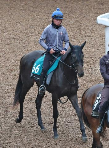【阪神新馬戦】アスクエジンバラ　福永師が高評価「スピードがあって初戦から動けるタイプ」