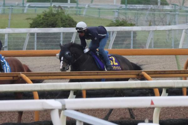 【安田記念など予想】ドバイターフを制したソウルラッシュの仕上がりは？ 有力馬たちの調教内容をチェック