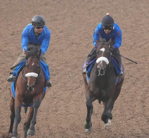 【安田記念】シックスペンス　馬なり楽々併入　国枝師「体が絞れてきた」